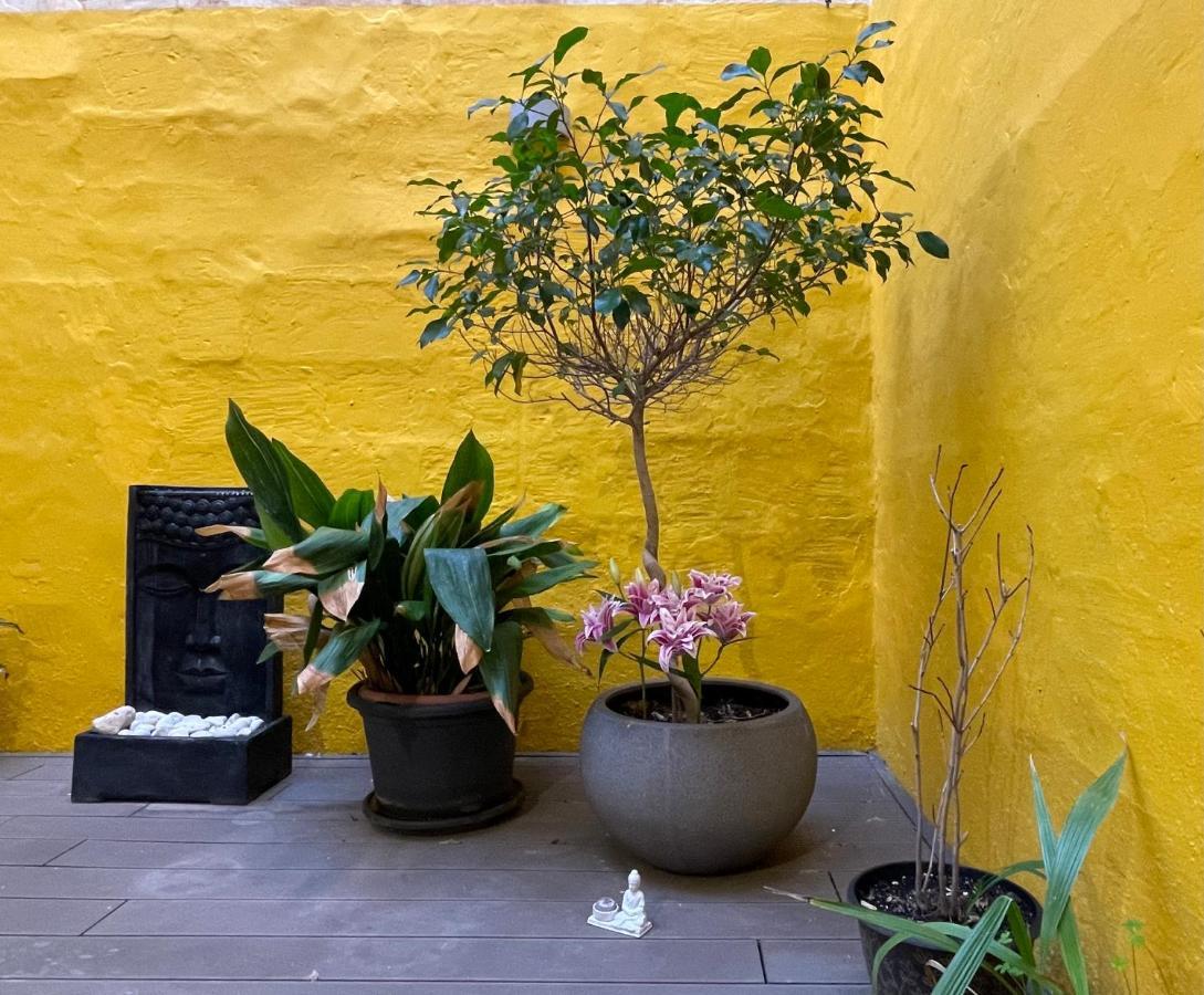Collection - Merchant Str With Large Yard Apartment